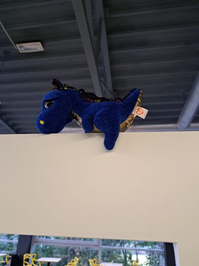 8 miliardów uśmiechów, ale Twój jest najważniejszy. SEMINARIUM