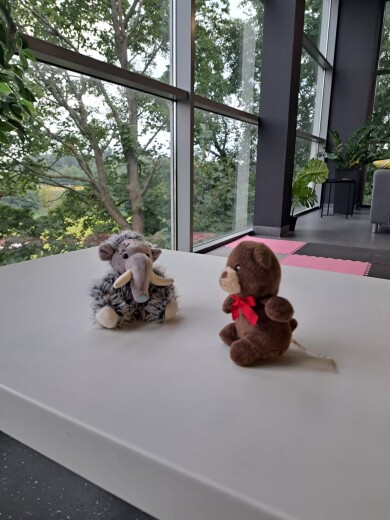 8 miliardów uśmiechów, ale Twój jest najważniejszy. SEMINARIUM